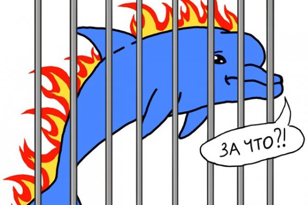 Что такое кракен магазин