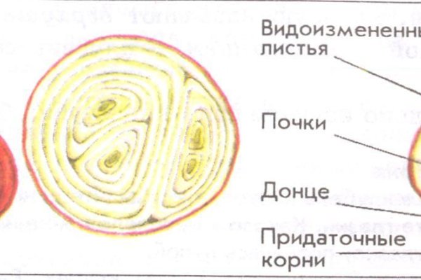 Кракен онион ссылки
