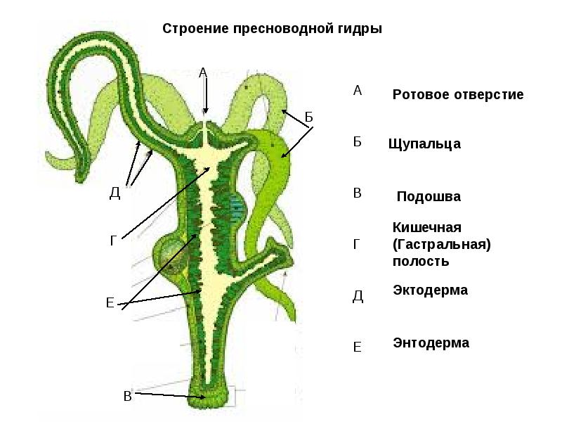 Kra48.cc Вход на сайт главная страница